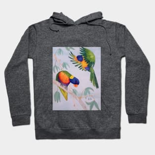 A Pair of Australian Rainbow Lorikeets Hoodie